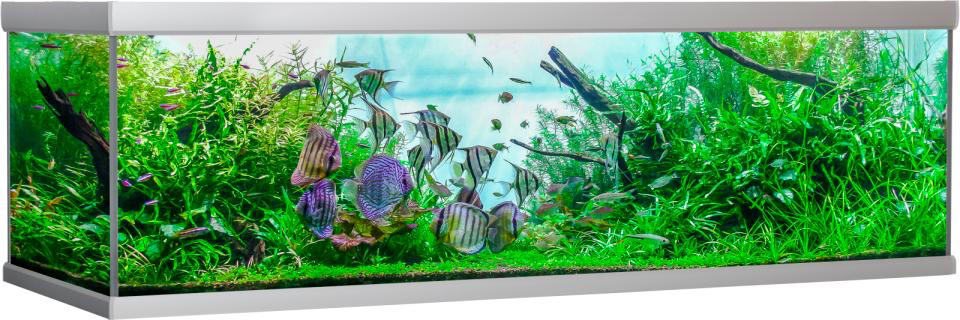 Akvastabil Fusion 900 liter akvarium